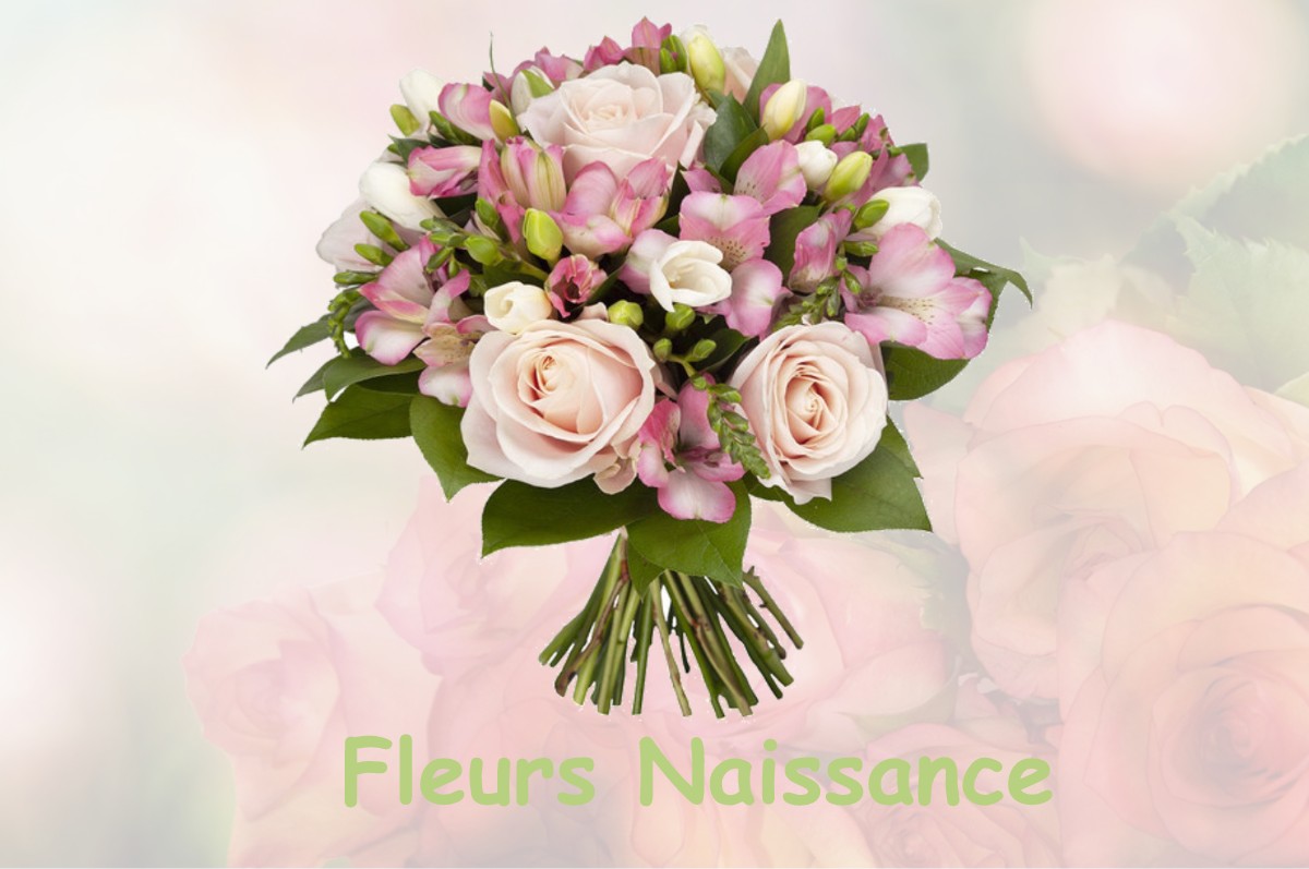 fleurs naissance SAINT-GEORGES-DE-POISIEUX